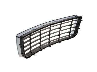 GM 10333711 Grille Assembly, Radiator Lower