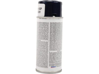 GM 19355081 Paint,Touch, Up Spray (5 Ounce)