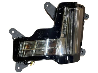 GM 84575575 Lamp Assembly, Front Si T/Sig