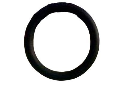GM 55568536 Seal, Engine Oil Cooler Inlet Pipe (O Ring)
