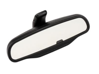 GM 15911607 Mirror Assembly, I/S Rr View