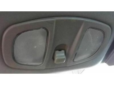 GM 15273905 Console, Roof *Gray
