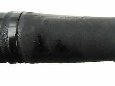 GM 23458661 Absorber Assembly, Rear Leveling Shock