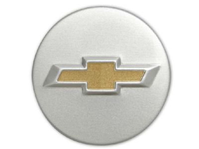 Chevrolet 19300043