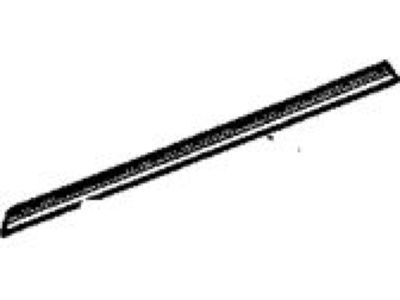 GM 20835971 Weatherstrip, Front Side Door Lower Auxiliary