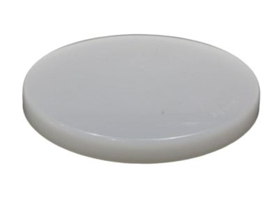 GM 10160922 Lens, Dome Lamp