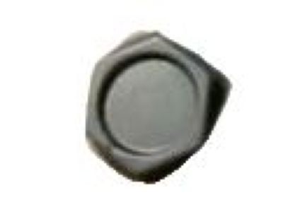 GM 10028614 Wheel Nut Cap