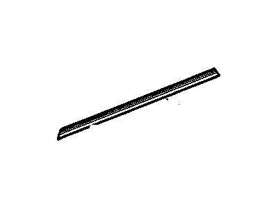 GM 20835971 Weatherstrip, Front Side Door Lower Auxiliary