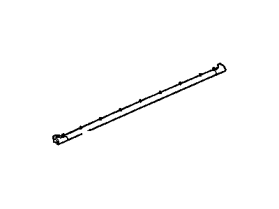 GM 25733016 Weatherstrip, Front Side Door Lower Auxiliary