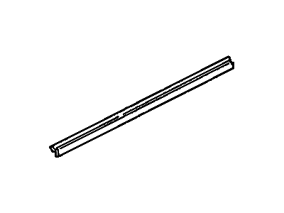 GM 10221156 Sealing Strip Assembly, Sliding Door, Bottom Auxiliary