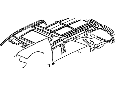 GM 10342078 Harness Assembly, Dome Lamp Wiring