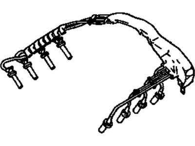 GM 19172244 Wire Kit,Spark Plug