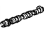 GM 24456229 Camshaft Assembly, Exhaust