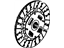 GM 15033809 Plate Assembly, Clutch Driven