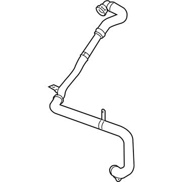 GM 25984607 Hose, Secondary Air Injection
