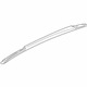 GM 84064616 Rail Assembly, Luggage Carrier Side
