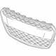 GM 42497032 Grille Assembly, Front Lower