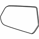 GM 22996252 Glass,Outside Rear View Mirror (W/Backing Plate)