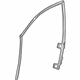 GM 84012301 Weatherstrip Assembly, Front Side Door Window
