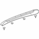 GM 95415754 Rail Assembly, Luggage Carrier Side