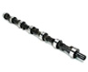 Buick Electra Camshaft