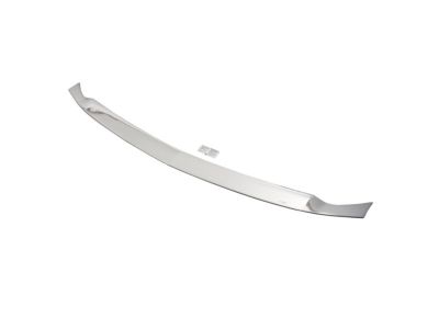 GM 19331069 Aeroskin™ Hood Protector in Chrome by Lund