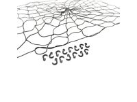 Bed Net