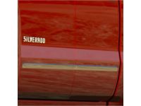 Chevrolet Silverado Molding/Appliques - 22775457