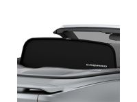 Genuine GM 12499572 Removable Roof Panel 