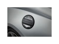 GM Fuel Door - 23506592