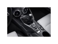 Chevrolet Shifters - 24287140