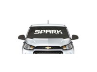 Chevrolet Spark Vehicle Protection - 42484961
