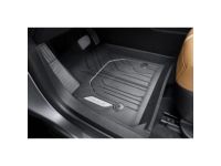 Floor Liners