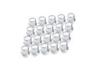 Chevrolet Lug Nuts - 84321914