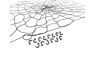 Bed Net