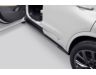 Cadillac XT6 Assist Steps