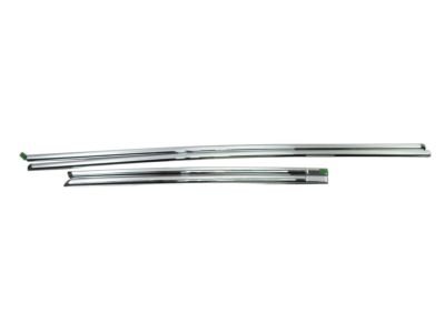 GM Bodyside Molding,Note:Sedan,Chrome 17801031