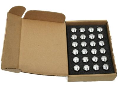GM Wheel Lock and Lug Nut Package in Chrome 17801711