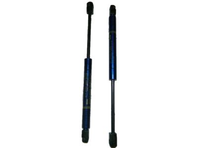 GM Rear Compartment Lid Strut,Note:For Vehicles with Spoiler,Blue (21U) 17801799