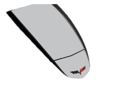 GM Racing Stripe Package in Silver with Black Accent 17802458