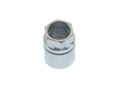 GM 19119417 Tire Pressure Monitor Nut (XL8 - 433 MHz)