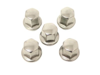 GM Lug Nut,Note:Polished 19154716