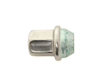 GM Lug Nut,Note:Polished 19154716