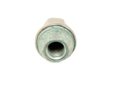 GM Lug Nut,Note:Polished 19154716