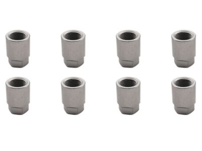 GM Tire Pressure Monitor Nut Package 19155509