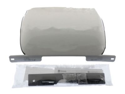 GM Trailer Hitch Closeout in White 19172859