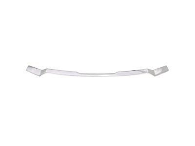 GM Aeroskin Hood Protector in Chrome by LUND 19419579