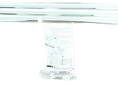 GM Front and Rear Door Moldings in Chrome 22775459