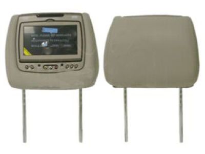 GM RSE - Head Restraint DVD System - Dual System, Material: Titanium 22840269