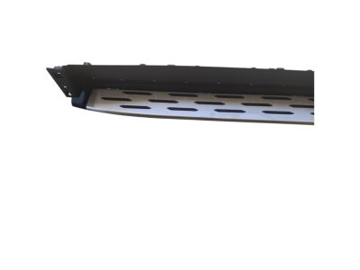 GM Molded Assist Steps in Black with Bright Step Pad 42491246